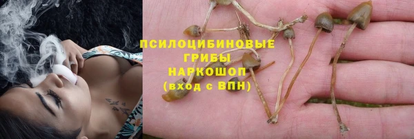 apvp Нефтегорск