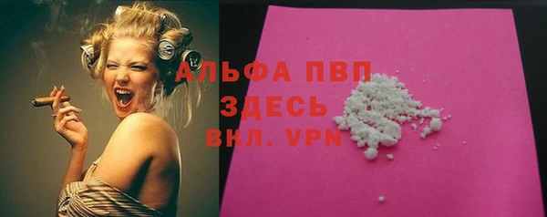 гидра Новодвинск