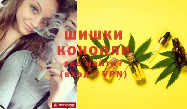 гидра Новодвинск