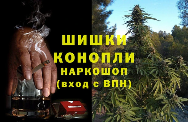 гидра Новокубанск