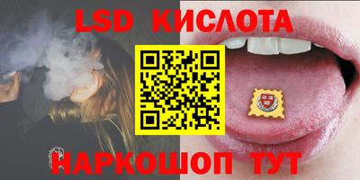 прущие грибы Гатчина