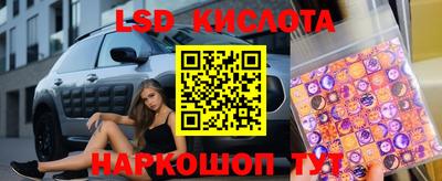 прущие грибы Гатчина