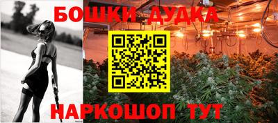 стафф Гай