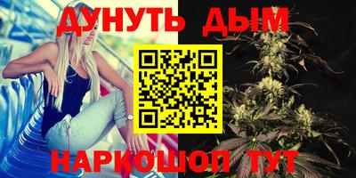 сатива Гагарин