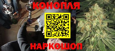 прущие грибы Гатчина