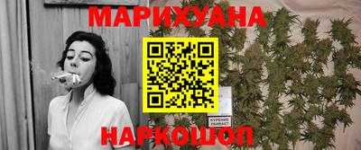 прущие грибы Гатчина