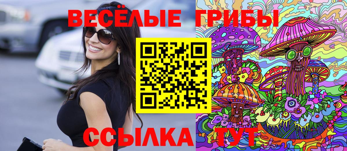 Анапа  Псилоцибиновые грибы Cubensis  Вход с VPN 