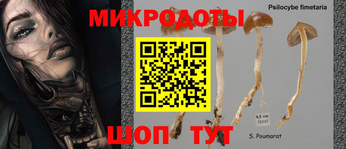 Анапа  Галлюциногенные грибы MAGIC MUSHROOMS  Вход с VPN 