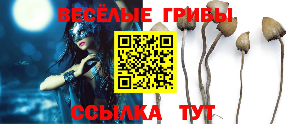 Псилоцибиновые грибы GOLDEN TEACHER Анапа