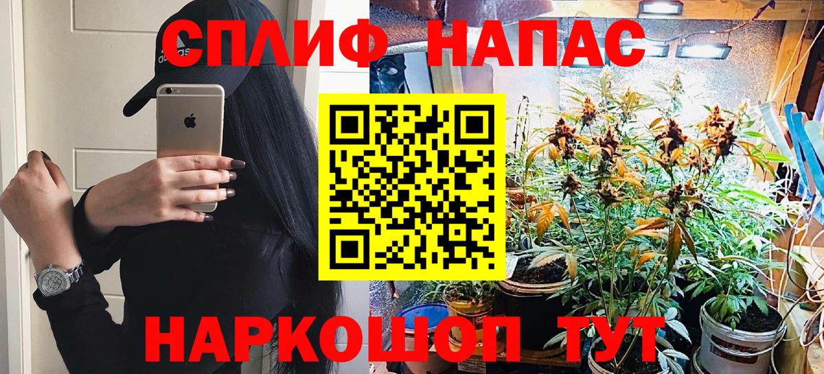 Бошки Шишки планчик  Бошки Шишки план  Анапа  Вход с VPN 